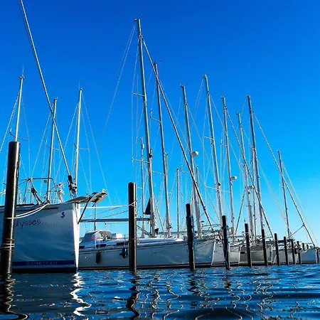 Little Lobster Flensburg